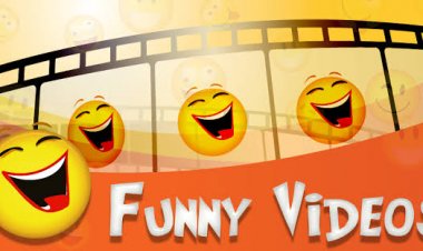 When your salary is credited in your account