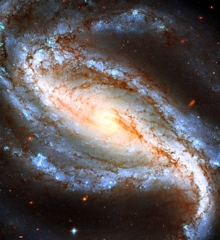 NGC 613 is a lovely example of a barred spiral galaxy.