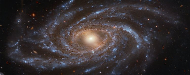 The quintessential galaxy named Galaxy  NGC 2336